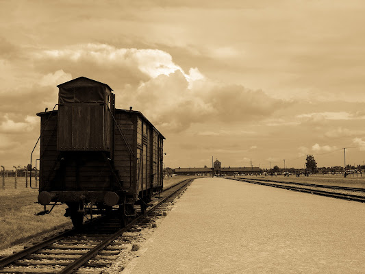 Campo di concentramento di Auschwitz di Cenati Gino