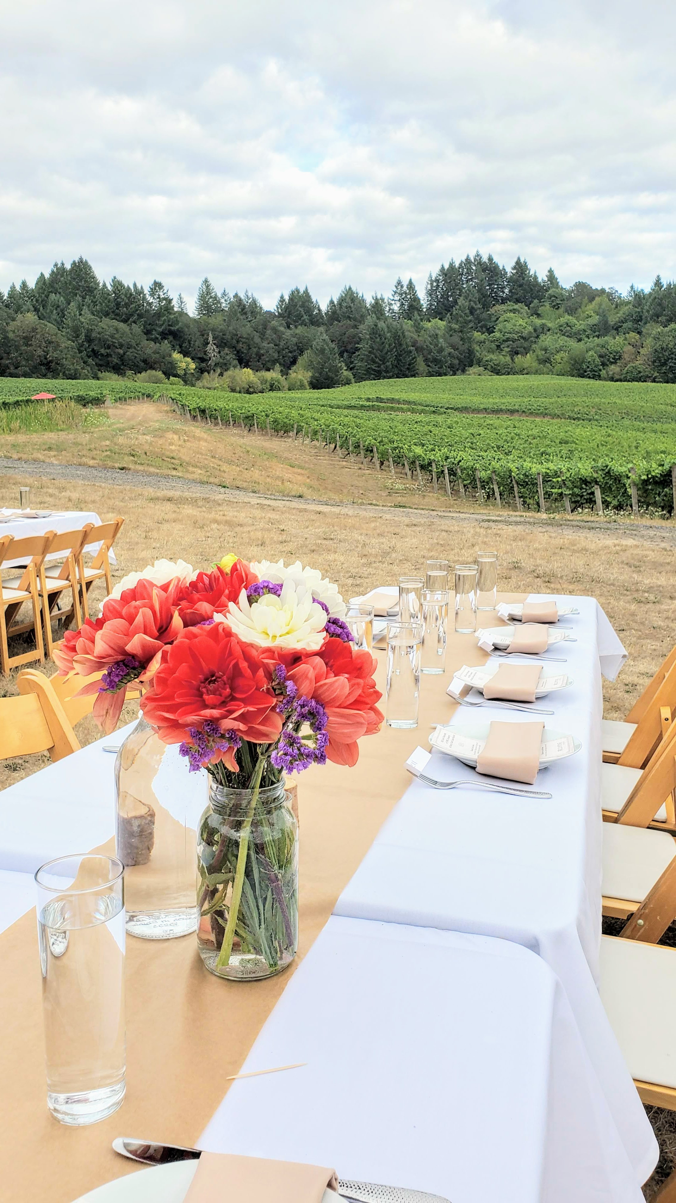 Dinner in the vineyards with Field and Vine Dinners: Elk Cove and TMK Creamery Dinner