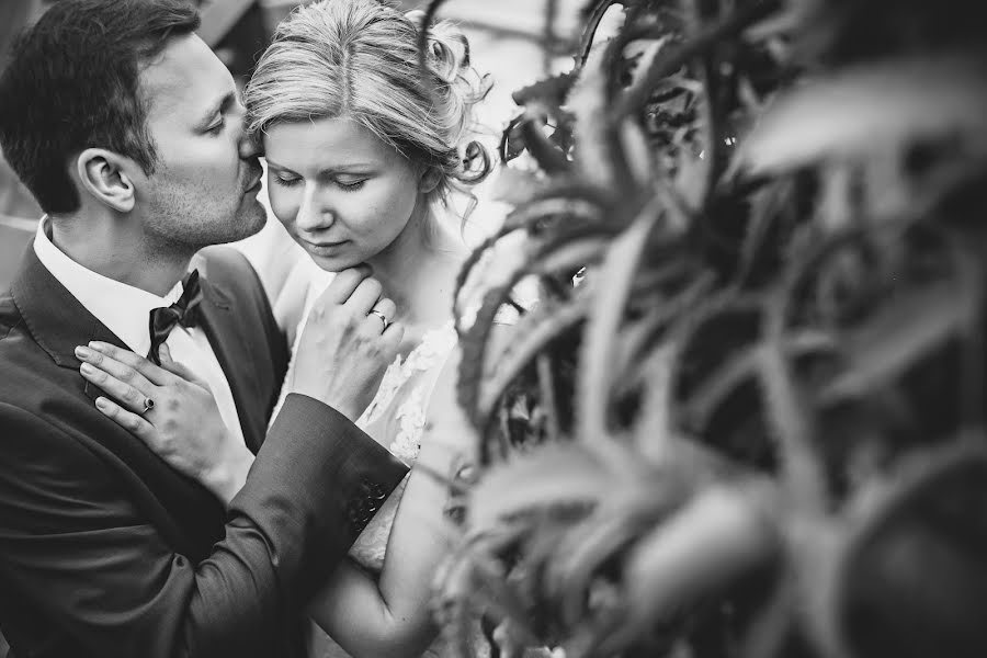 Fotógrafo de bodas Hania Marek Majchrzak (majchrzak). Foto del 23 de marzo 2017