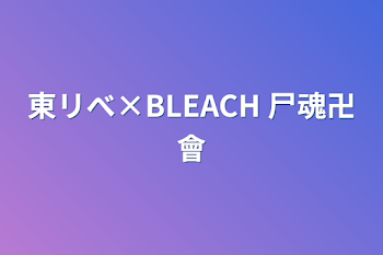 東リべ×BLEACH    尸魂卍會