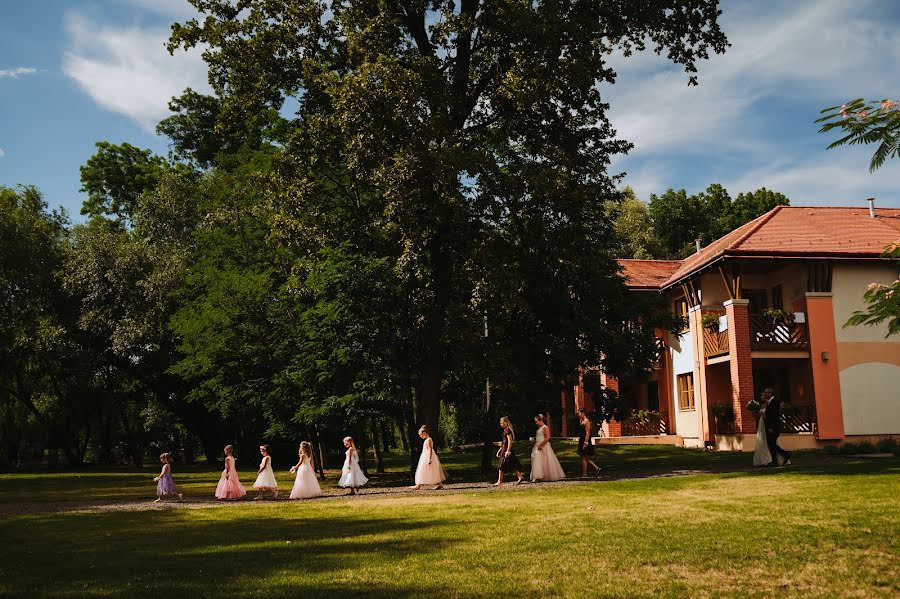 Wedding photographer Gábor Badics (badics). Photo of 21 September 2021