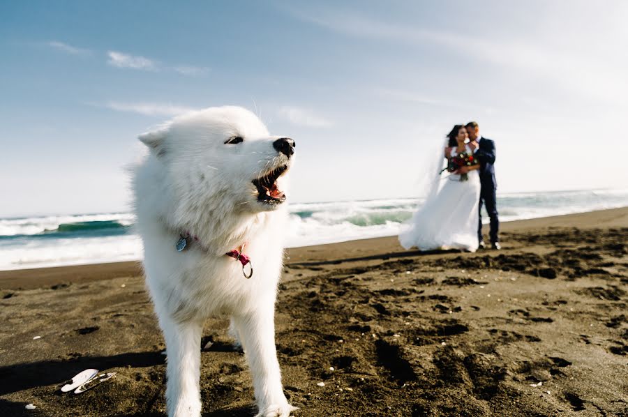 Fotógrafo de casamento Sergey Laschenko (cheshir). Foto de 8 de abril 2018