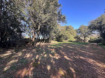 terrain à Le Bosc (34)