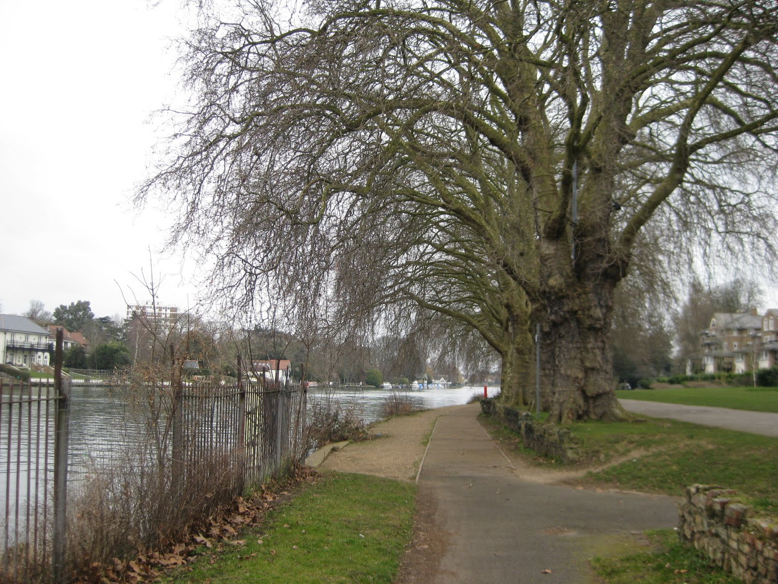 Thames Path