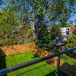 View of backyard with grass landscape