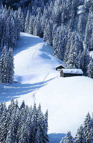 35420006 - Lone Snow Track; Winter, 1999; Switzerland, Glarus