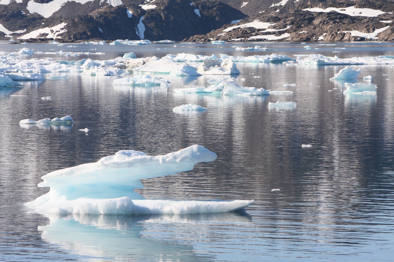 East Greenland