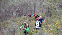 PER EL SALT,CANALONS I CASTELLAR-CEA.-10-I-2016 117