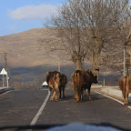 Traffic jam