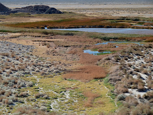 Death Valley: Saratoga Springs located in the southern part of the park.