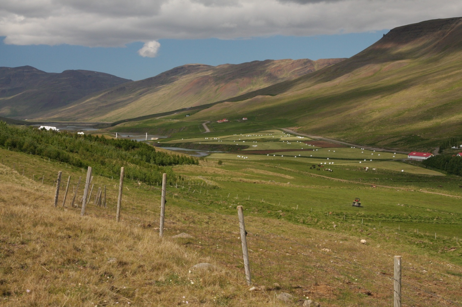 Only 1% of Iceland is arable, altough not many trees here either