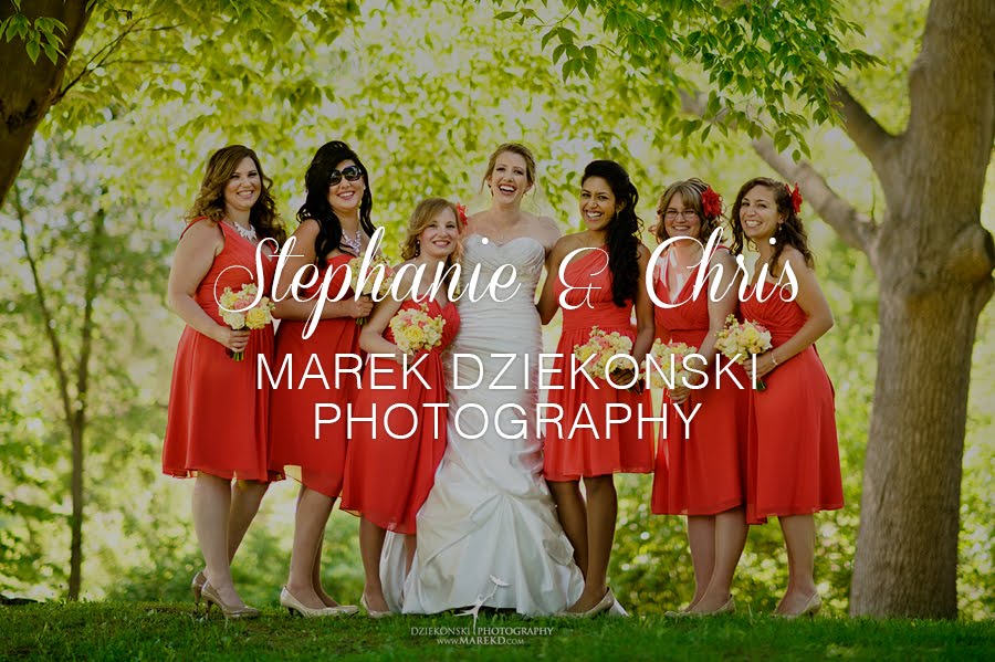 Stephanie & Chris by Dziekonski Photography