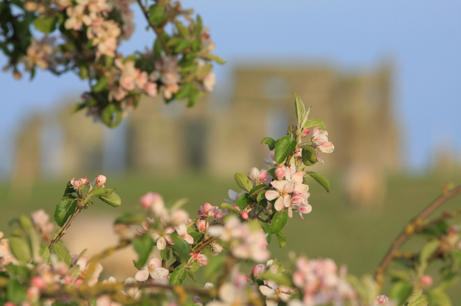 Southern England