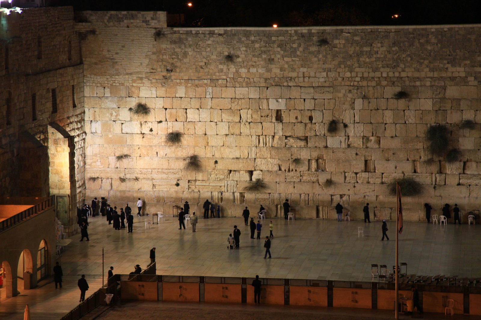 You never get bored watching Jews rocking next to the wall