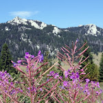 Velebit- V. Kozjak, Krajacev, Zecjak 2017.