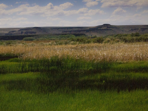 Malheur National Wildlife Refuge, Oregon