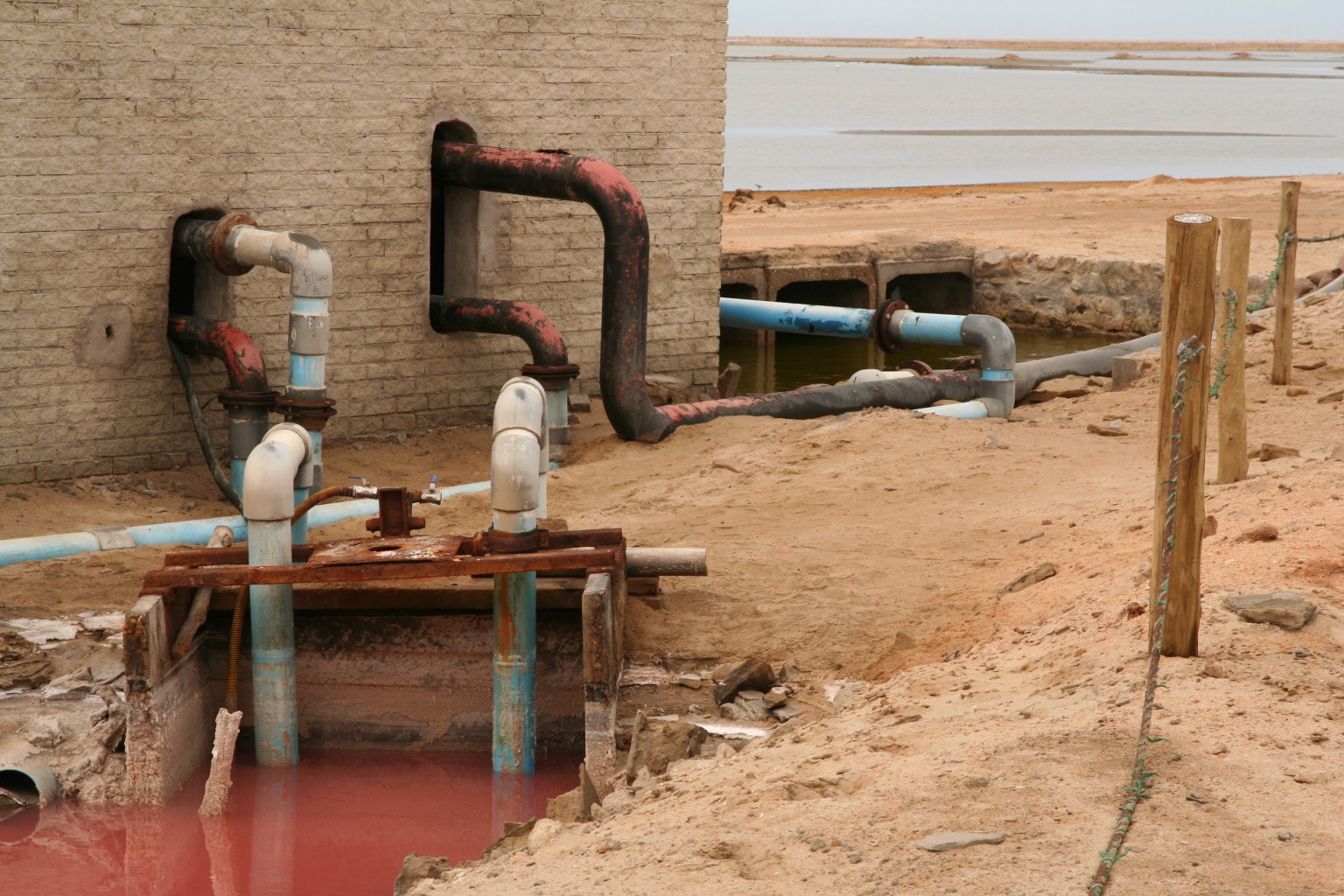 Pollution at the flamingo bay (do they get they color from this water?)