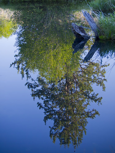 Page Springs Campground, Frenchglen, OR