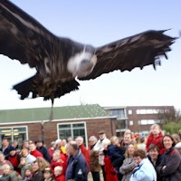 Opening Speeltuin en Roofvogelshow 17 maart 2007