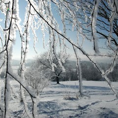 Ladovská zima 2010