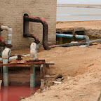 Pollution at the flamingo bay (do they get they color from this water?)