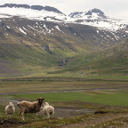 On the way to East Fjords