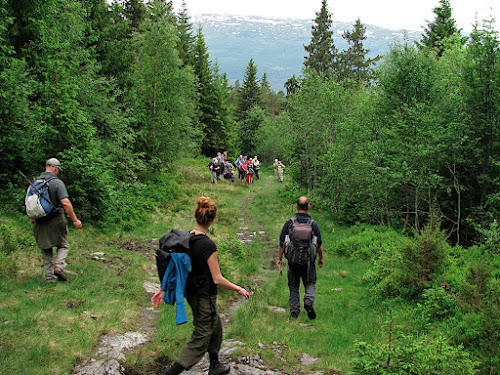 While hiking with HF Holidays near Stalheim, Norway