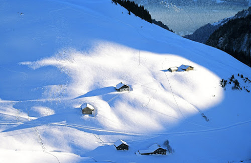 35420007 - Snowy Hill in Afternoon Light; Winter, 1998; Austria, Damüls