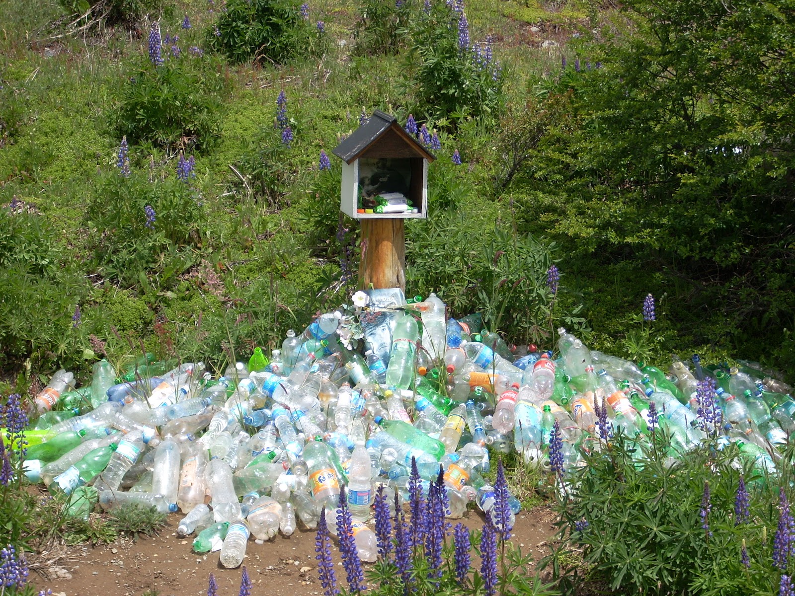 I´m not quite sure why you should leave a plastic bottle at this shrine