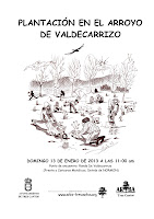 Cartel Valdecarrizo 2013