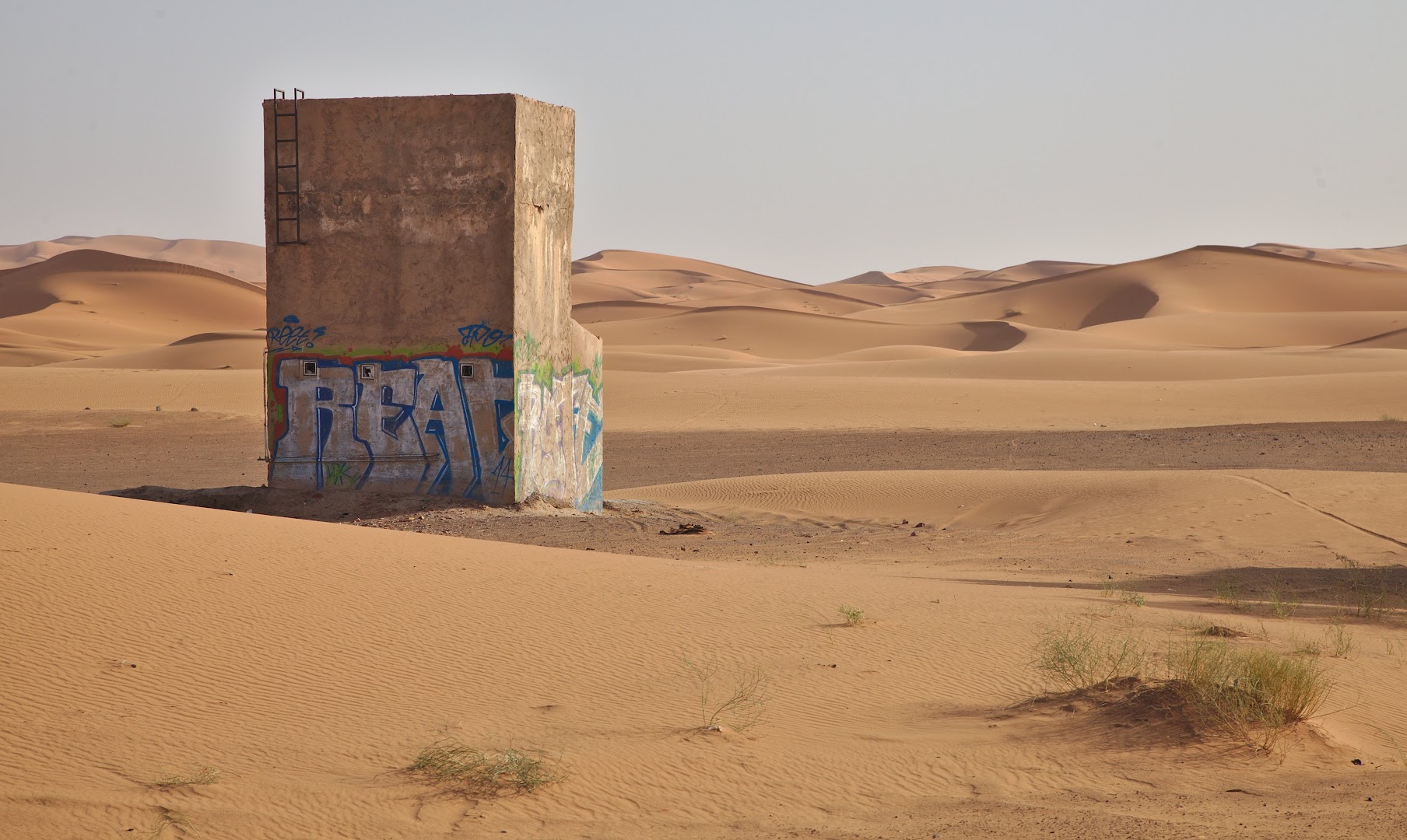 Strange structures in Sahara