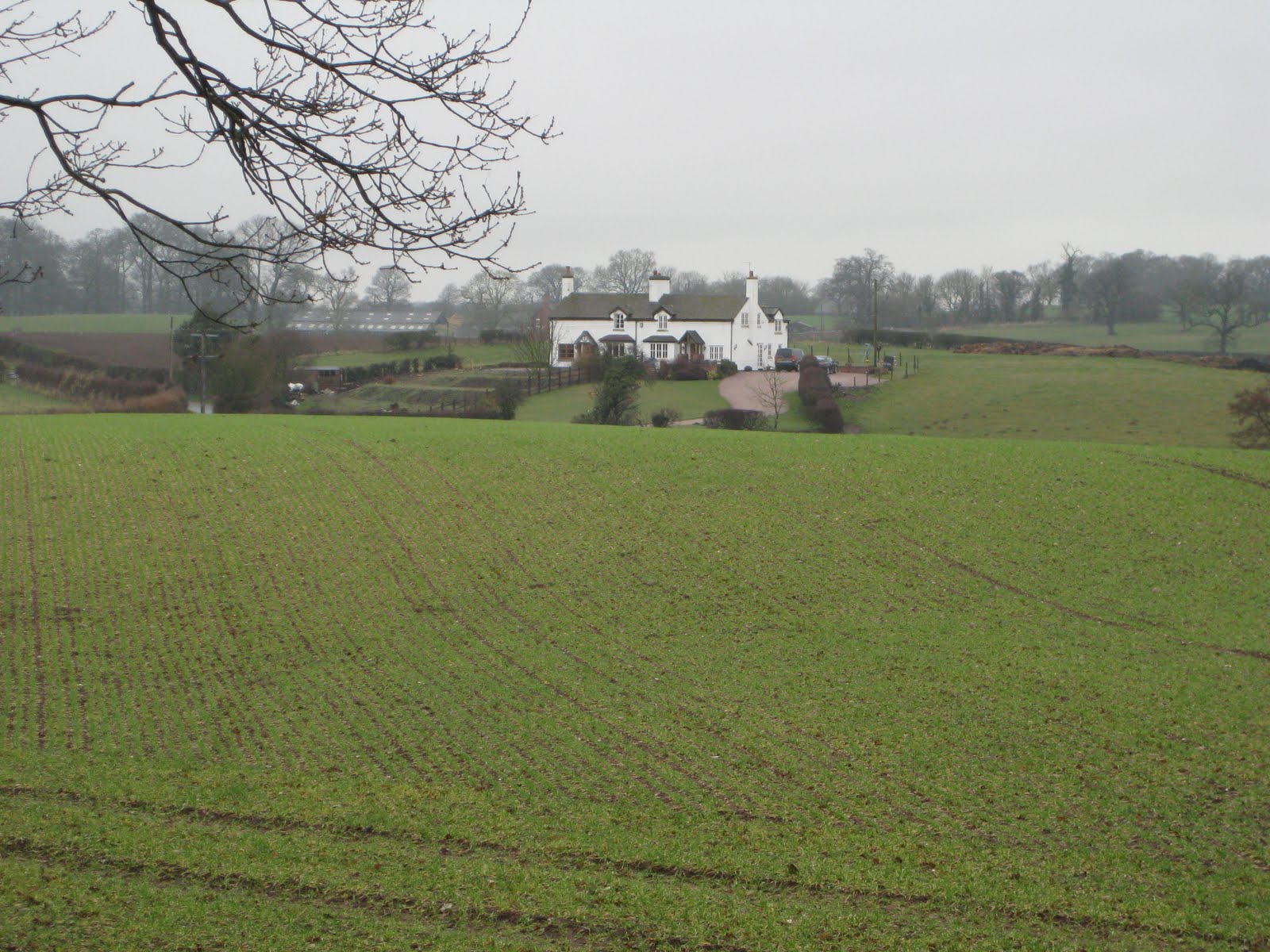 Farmland scene