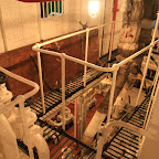 The internals of a Star Ferry - state-of-the-art of British technology at the beginning of 20th century