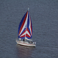 Dauphin Island Race 2013 029