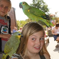 Speeltuin 65 jaar Jubileum Feest - Speeltuin65jaar (98)