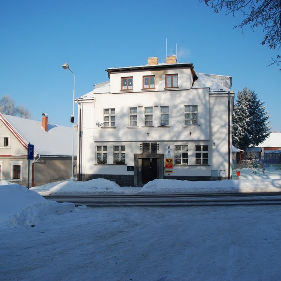 Ladovská zima 2010 - DSC_1534