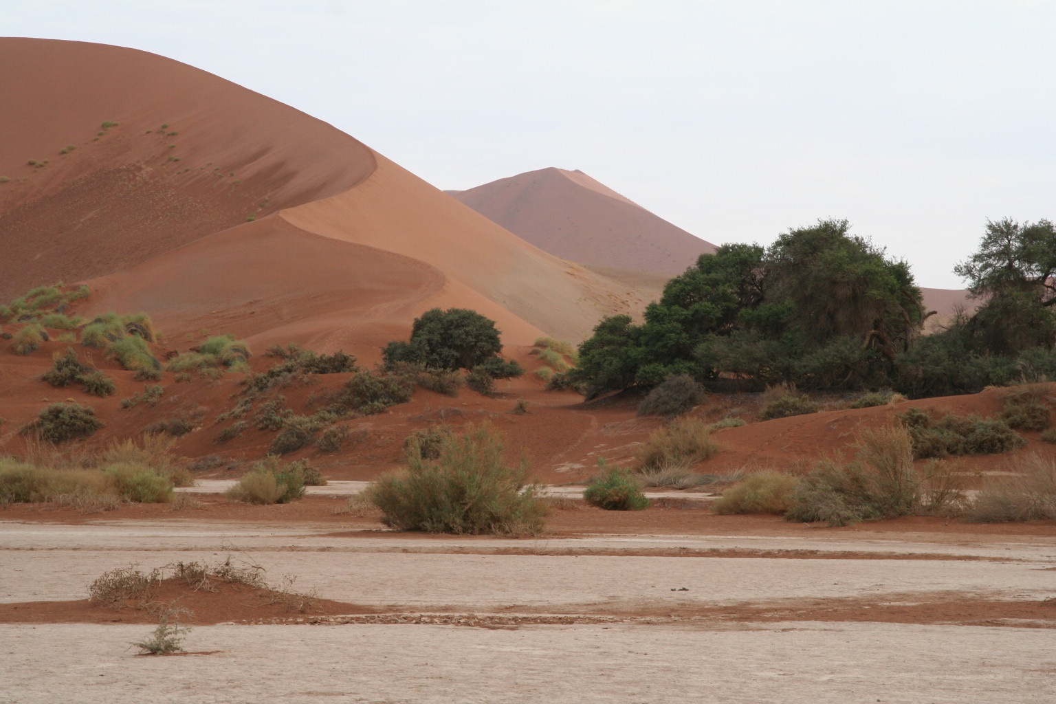 Salty Sossuvlei