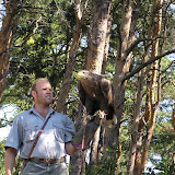 Návštěva areálu dravců na hradě Rabí (1)