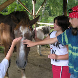 Návštěva na farmě (2)