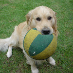 Jack and his favourite toy. He carried that around all the time :)