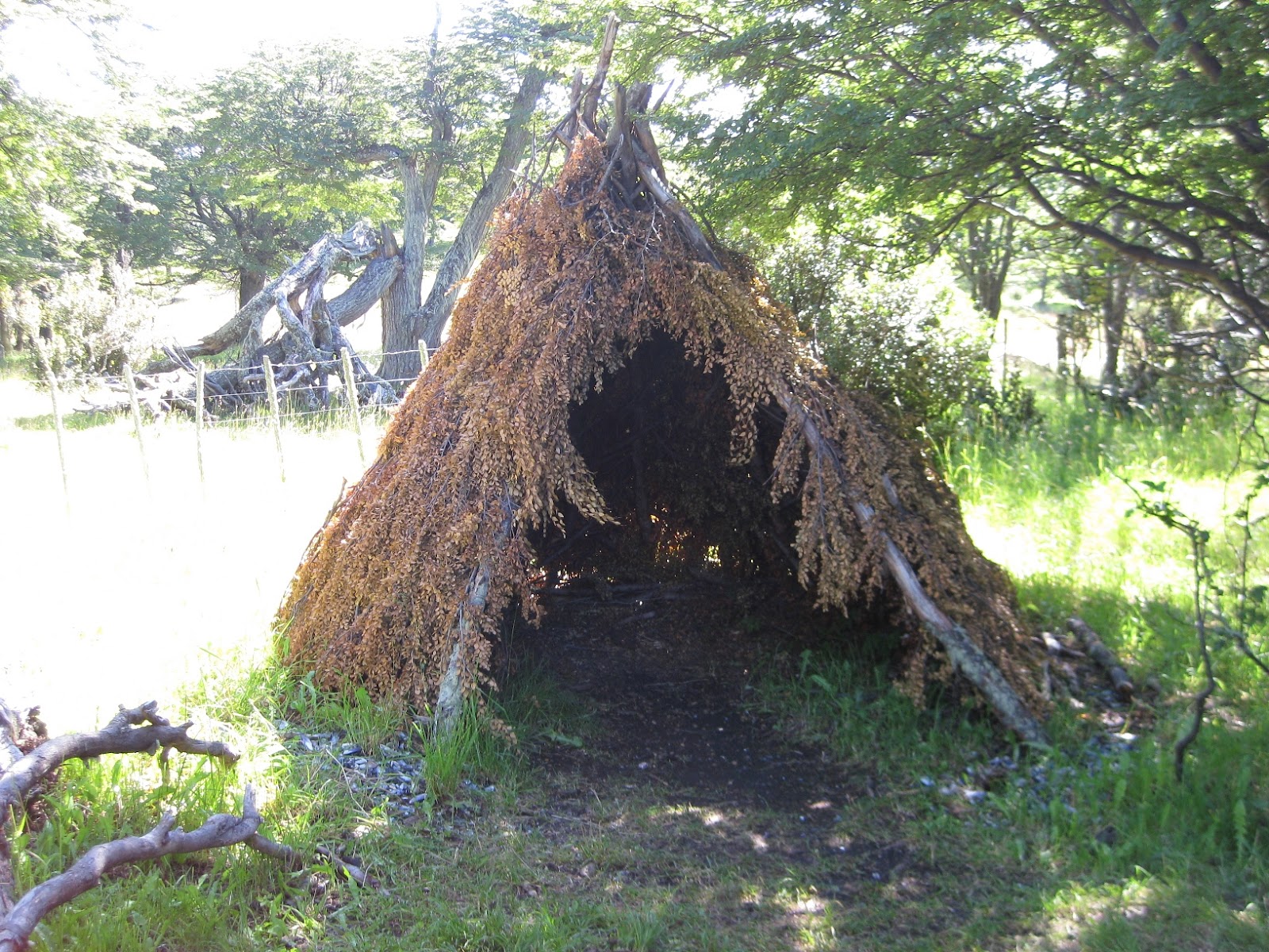 The Yamanas somehow lived in these, purely as temporary shelter. Madness.