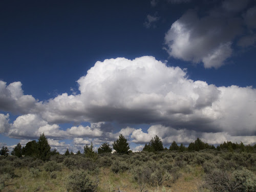 Page Springs Campground, Frenchglen, OR