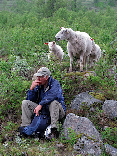 While hiking with HF Holidays near Stalheim, Norway