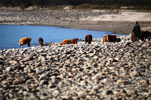 DSC_0754 - A watering 