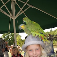 Speeltuin 65 jaar Jubileum Feest - Speeltuin65jaar (95)