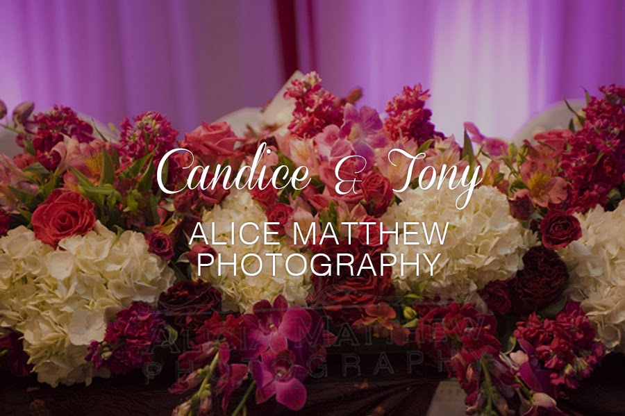 Candice & Tom by Alicia Matthew Photography