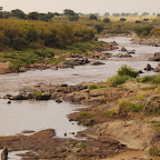 It is a river, of course there are crocodiles!