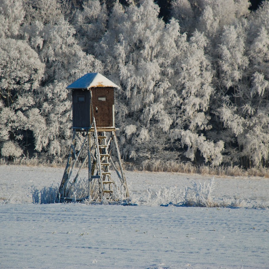 Trhovka 2008 - DSC_4740