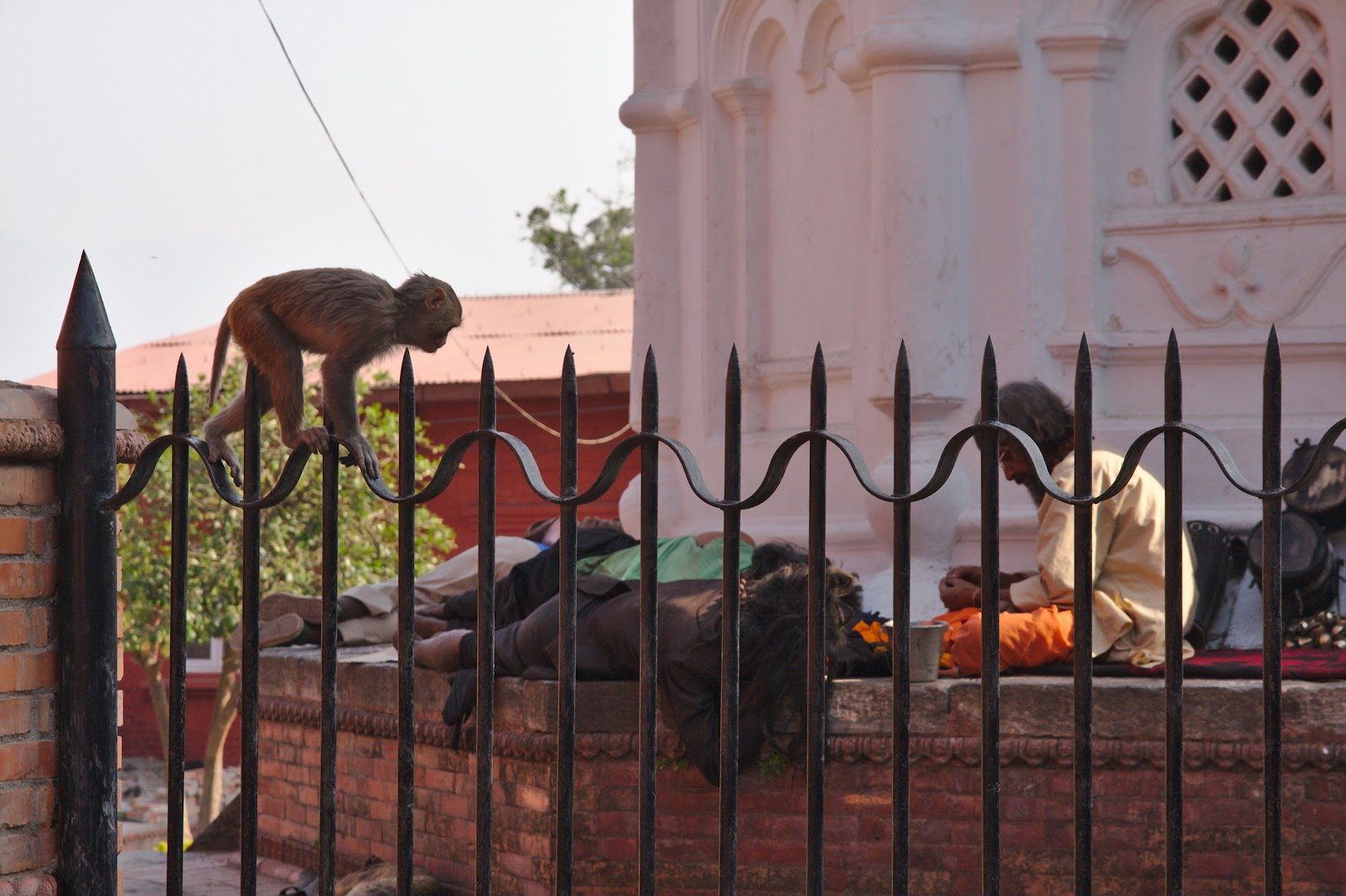 Nepal