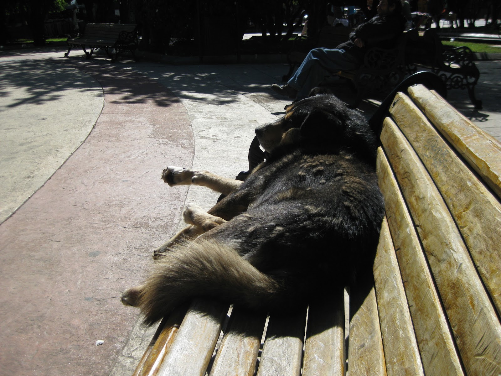 Friend sitting beside me on the bench